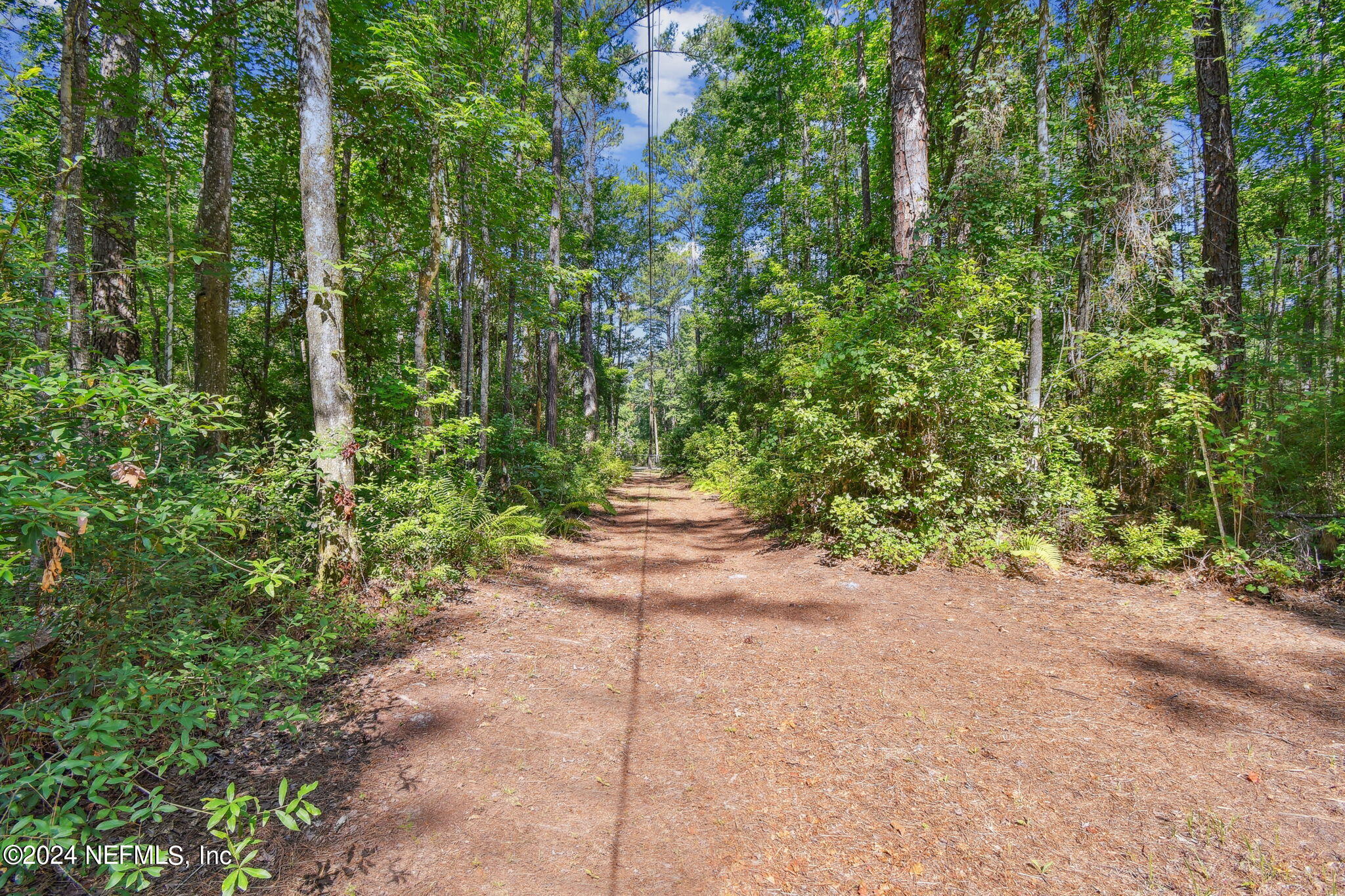 8950 Alligators Road Jacksonville, FL 32219 - Photo 18 of 46 21-DSC_8550