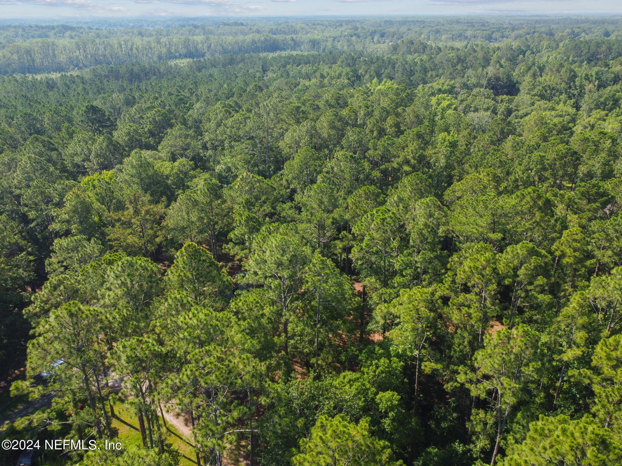 8950 Alligators Road Jacksonville, FL 32219 - Photo 38 of 46 6-DJI_0014