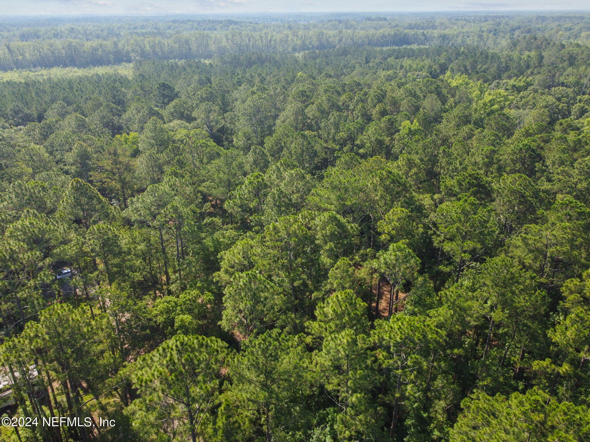 8950 Alligators Road Jacksonville, FL 32219 - Photo 39 of 46 7-DJI_0017