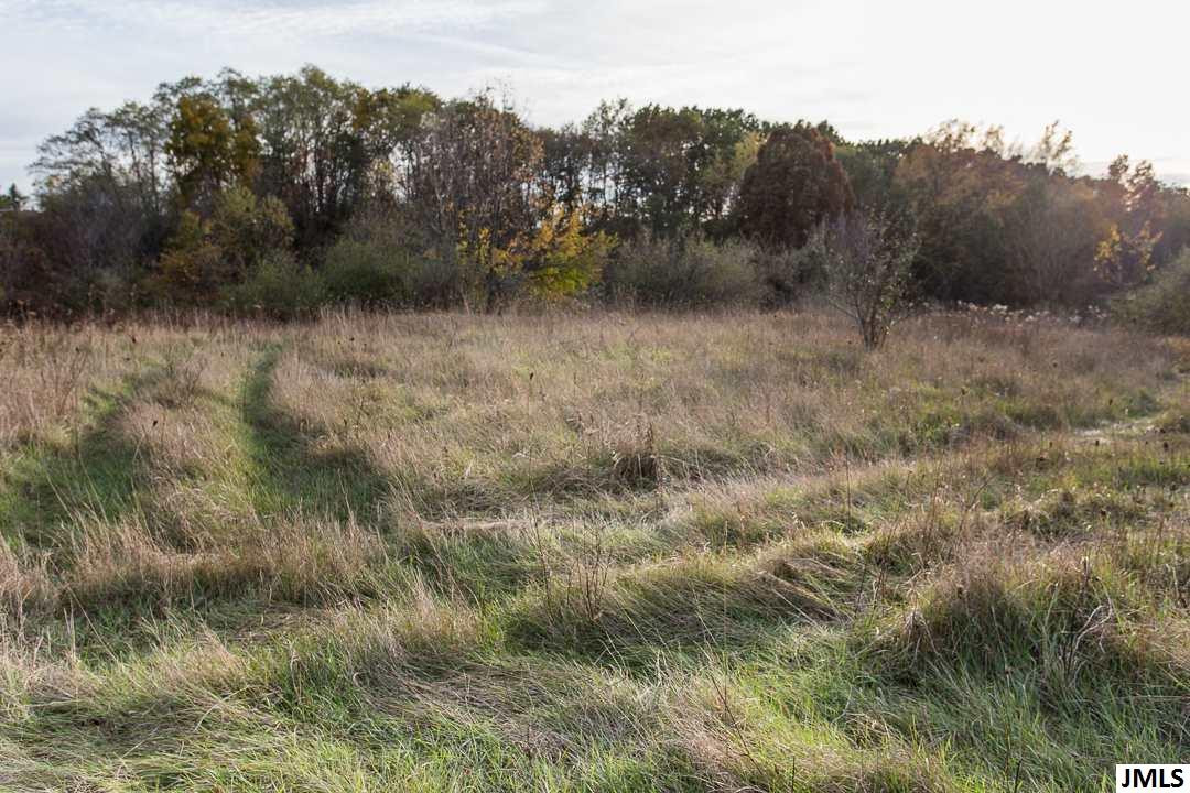 3348 Gardner Road Parma, MI 49269 - Photo 6 of 36 Photo 6