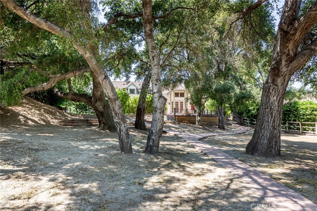 15601 Saddleback Road Canyon Country, CA 91387 - Photo 43 of 55 a view of a tree in the middle of a yard