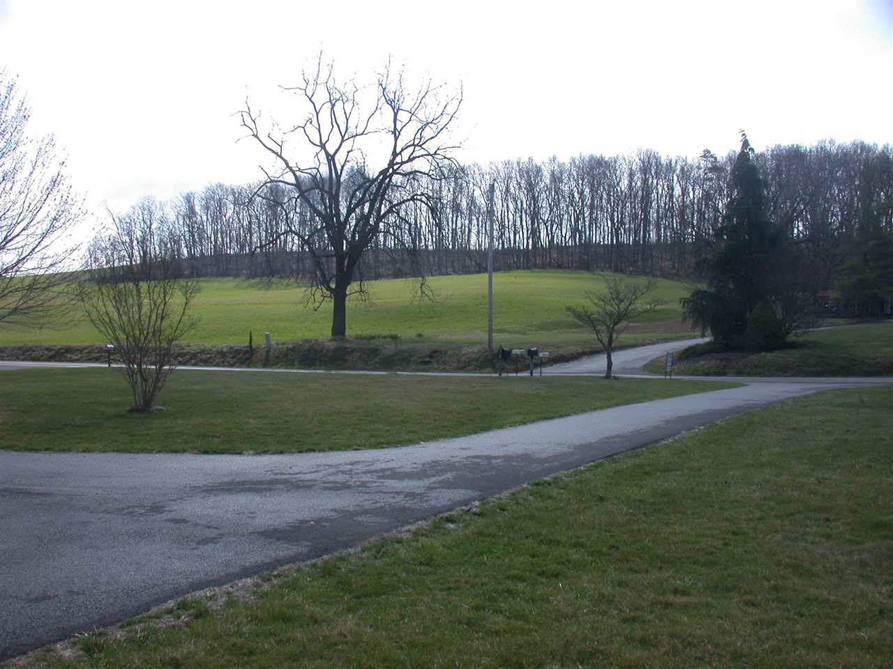 507 Seawright Springs Road Mount Sidney, VA 24467 - Photo 8 of 12 Gallery Image 8