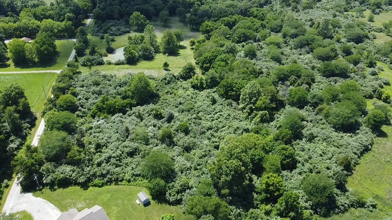 0 East Boyd Road Mount Vernon, IL 62864 - Photo 4 of 5