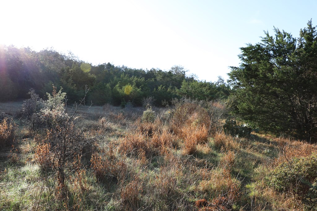 0 Signal Point, Unit 51 Fredericksburg, TX 78624 - Photo 11 of 16