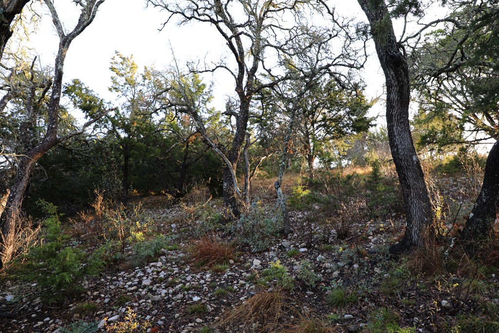 0 Signal Point, Unit 51 Fredericksburg, TX 78624 - Photo 12 of 16