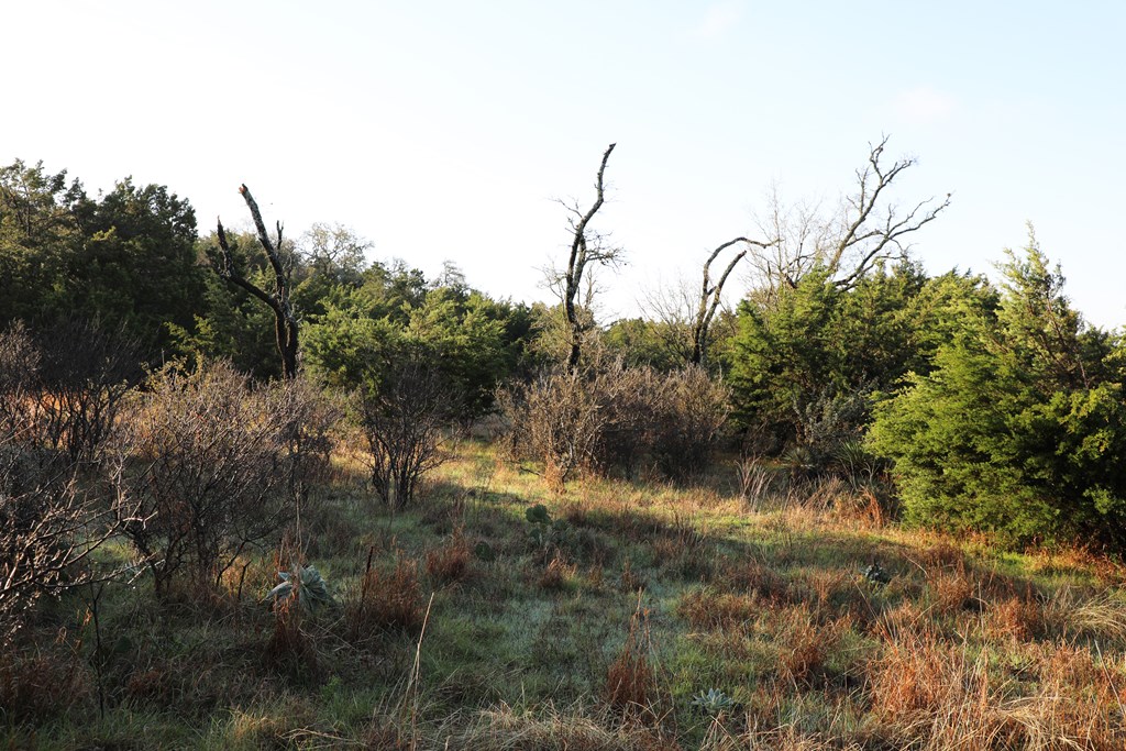 0 Signal Point, Unit 51 Fredericksburg, TX 78624 - Photo 14 of 16