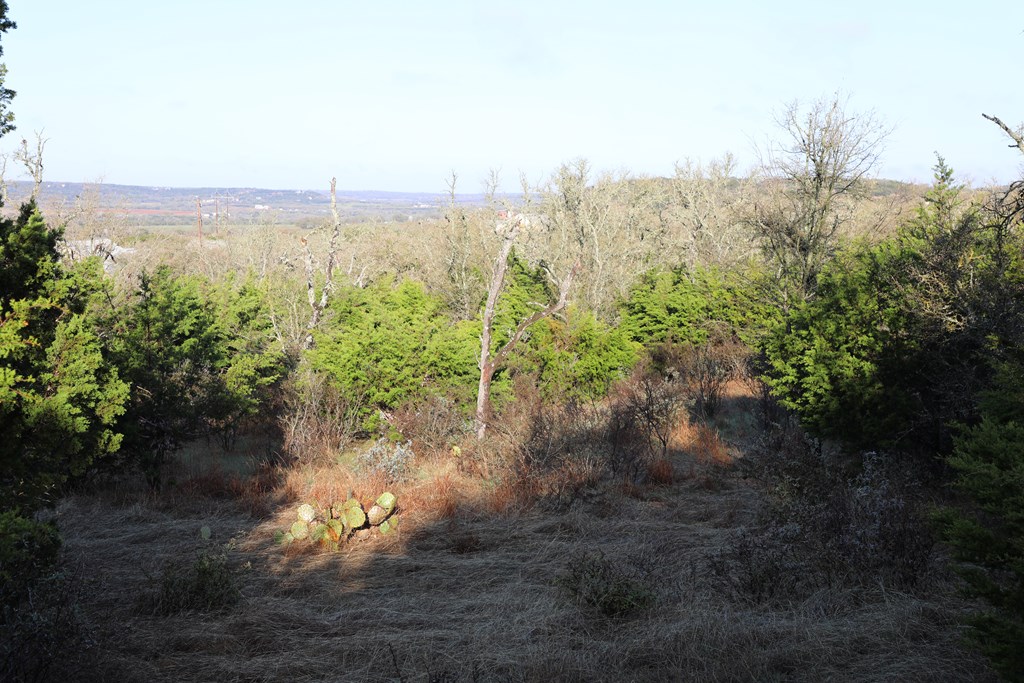 0 Signal Point, Unit 51 Fredericksburg, TX 78624 - Photo 2 of 16