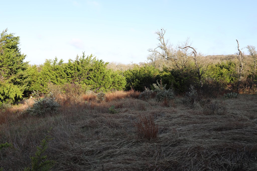 0 Signal Point, Unit 51 Fredericksburg, TX 78624 - Photo 3 of 16