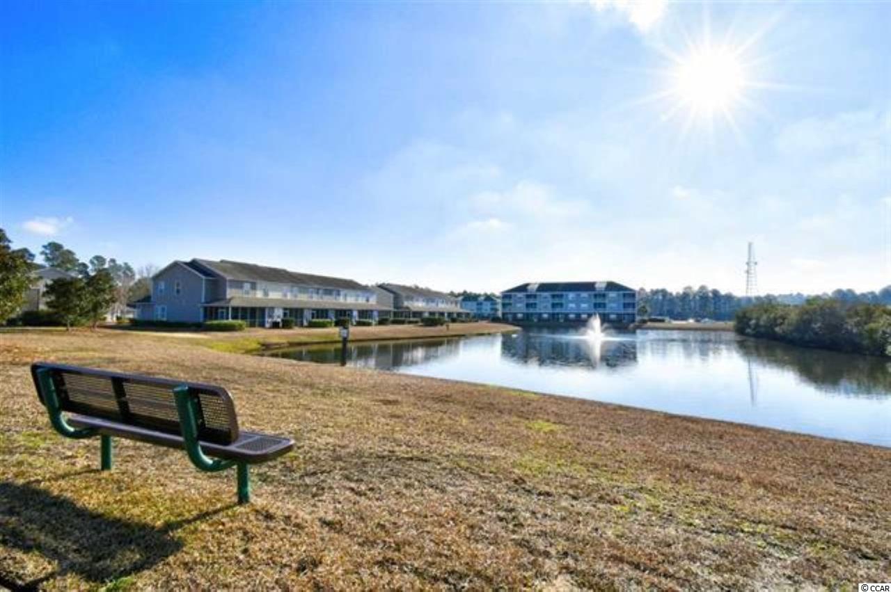 334 Kiskadee Loop, Unit C Conway, SC 29526 - Photo 4 of 12 Gallery Image 4