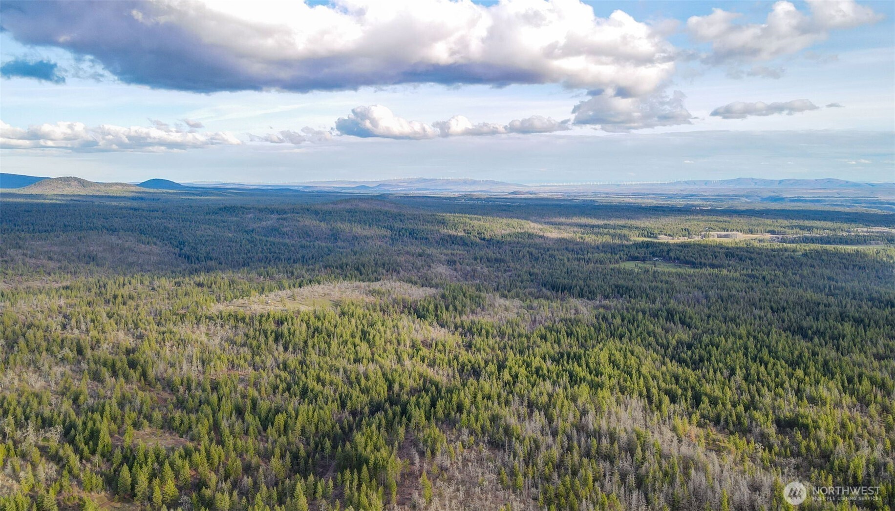 16 Grayback Road Goldendale, WA 98620 - Photo 14 of 25