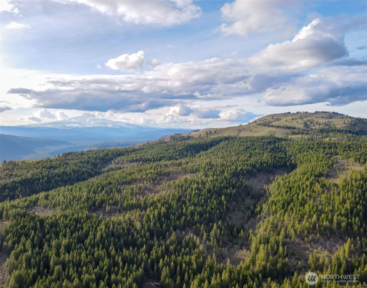 16 Grayback Road Goldendale, WA 98620 - Photo 16 of 25