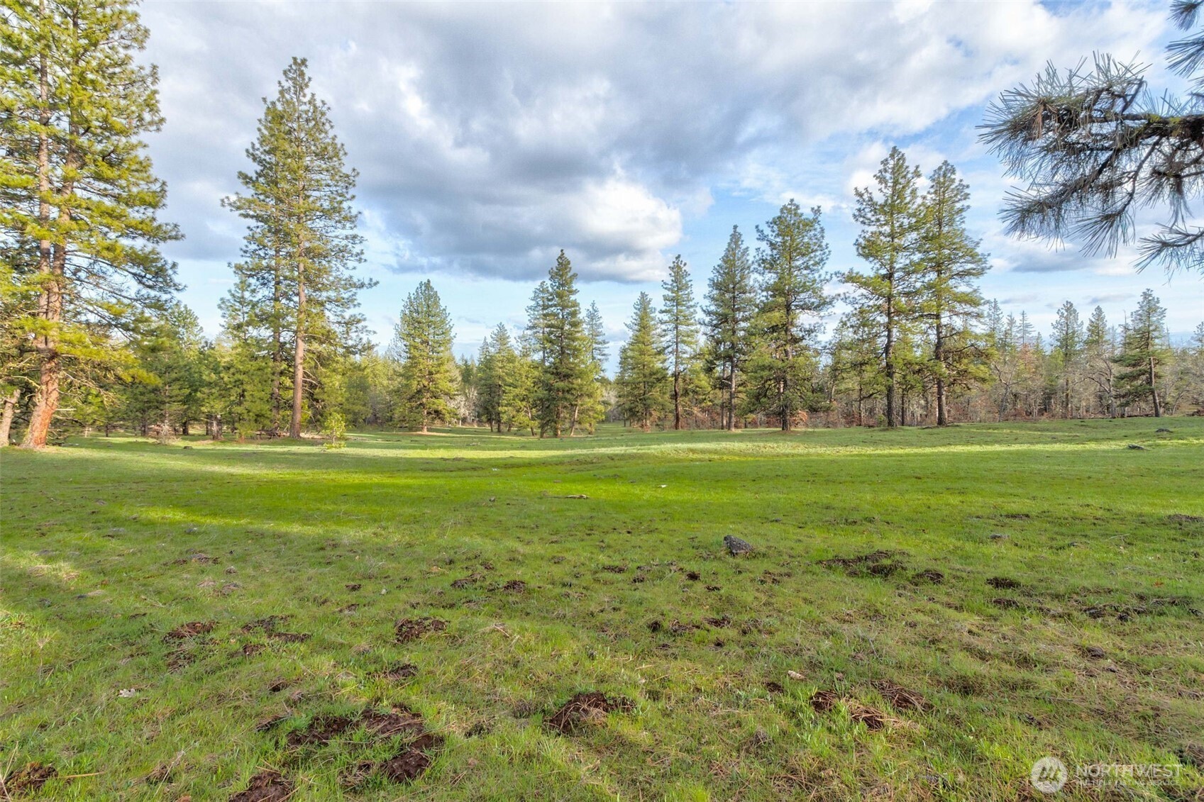 16 Grayback Road Goldendale, WA 98620 - Photo 18 of 25