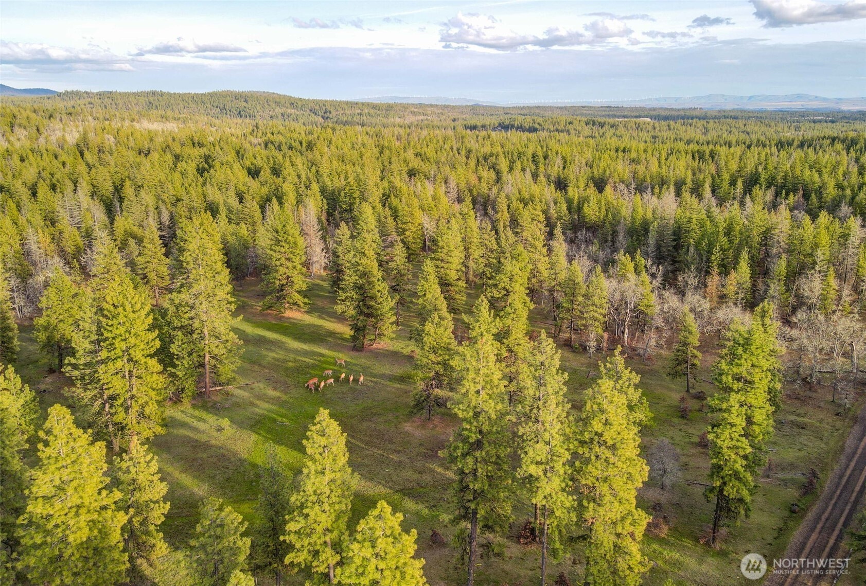 16 Grayback Road Goldendale, WA 98620 - Photo 25 of 25