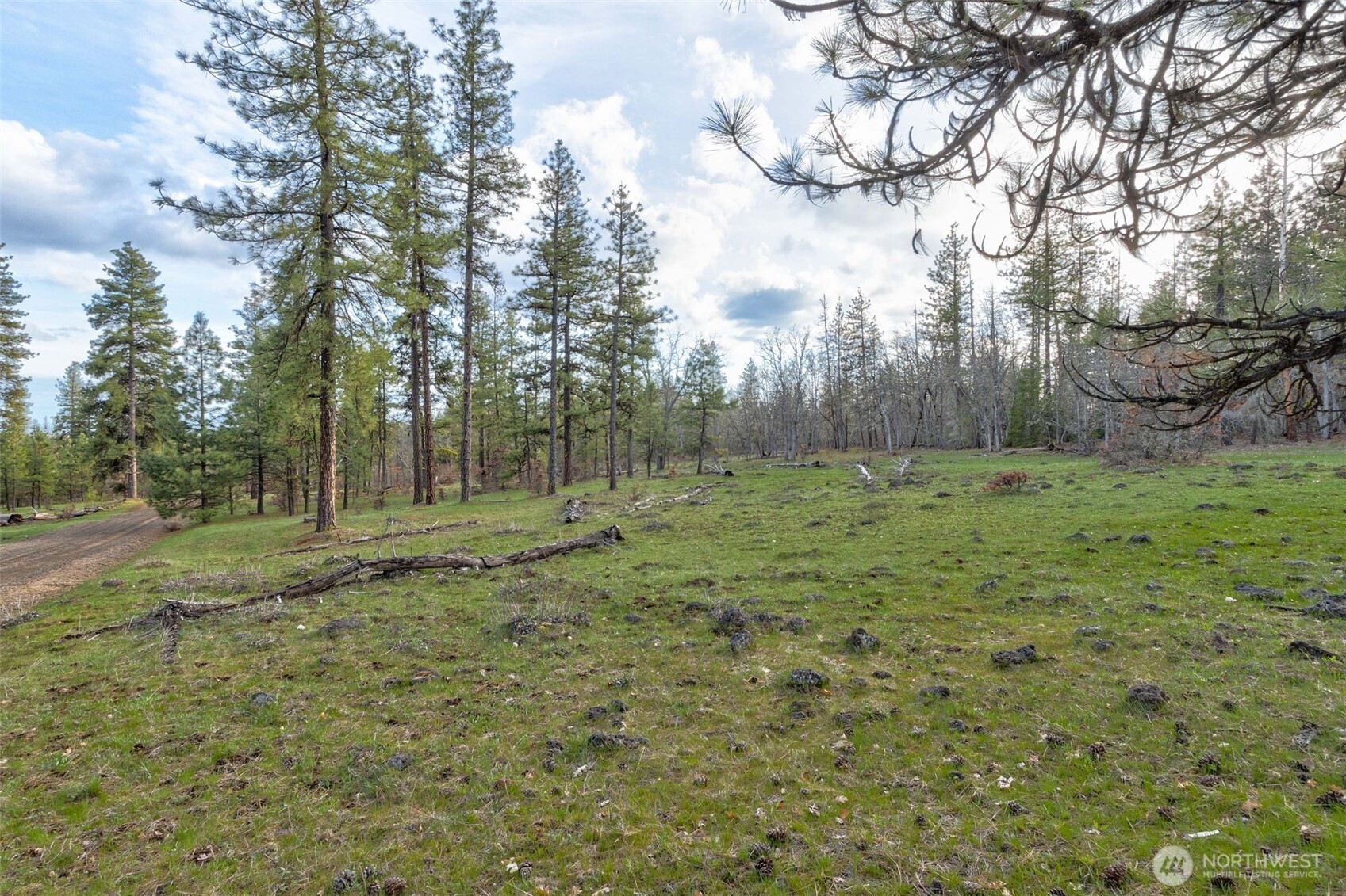 16 Grayback Road Goldendale, WA 98620 - Photo 4 of 25