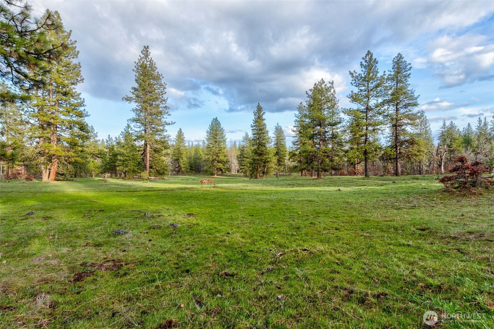 16 Grayback Road Goldendale, WA 98620 - Photo 10 of 25