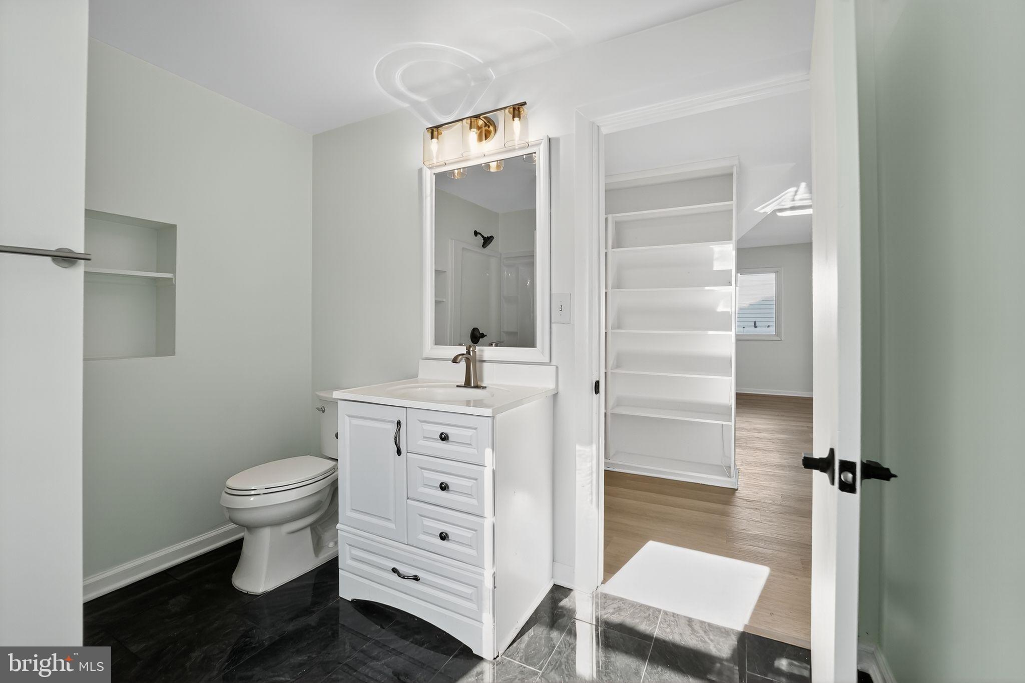 1008 Fuselage Avenue Baltimore, MD 21220 - Photo 15 of 30 a bathroom with a sink a toilet a mirror and shower