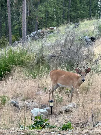 $225,000 | 20540 East London Court, Bayview, ID 83803