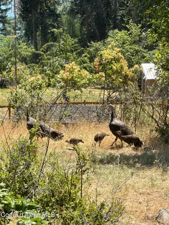 $225,000 | 20540 East London Court, Bayview, ID 83803