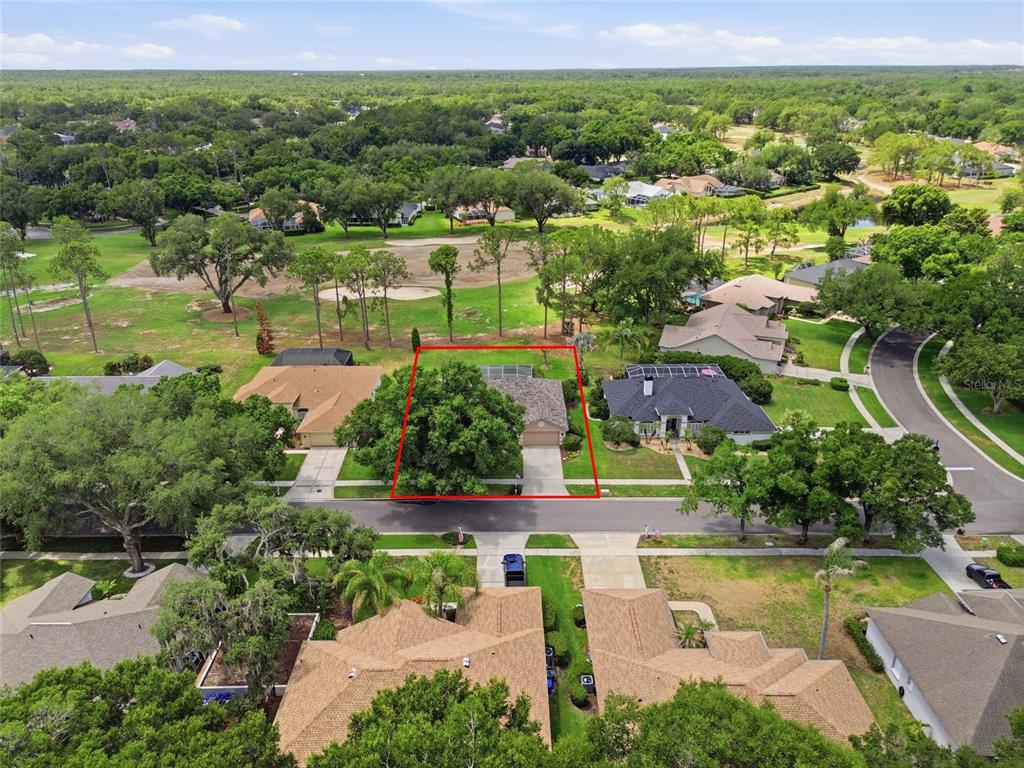 4941 Willow Ridge Terrace Valrico, FL 33596 - Photo 40 of 50