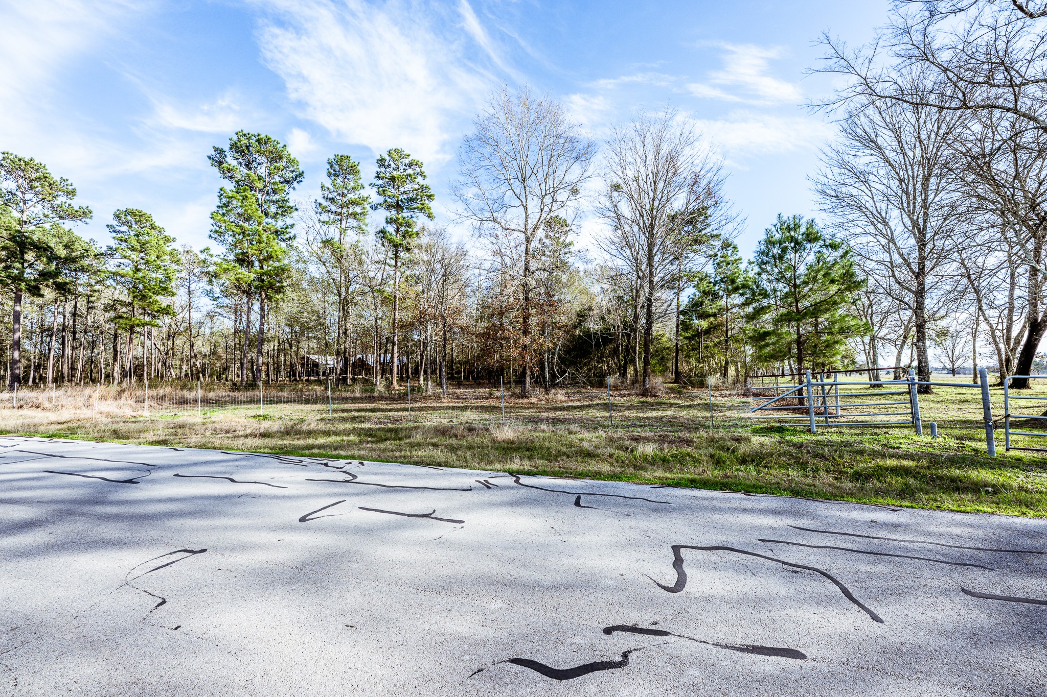 Tbd Jones Road New Waverly, TX 77358 - Photo 7 of 7 a view of a yard with swimming pool