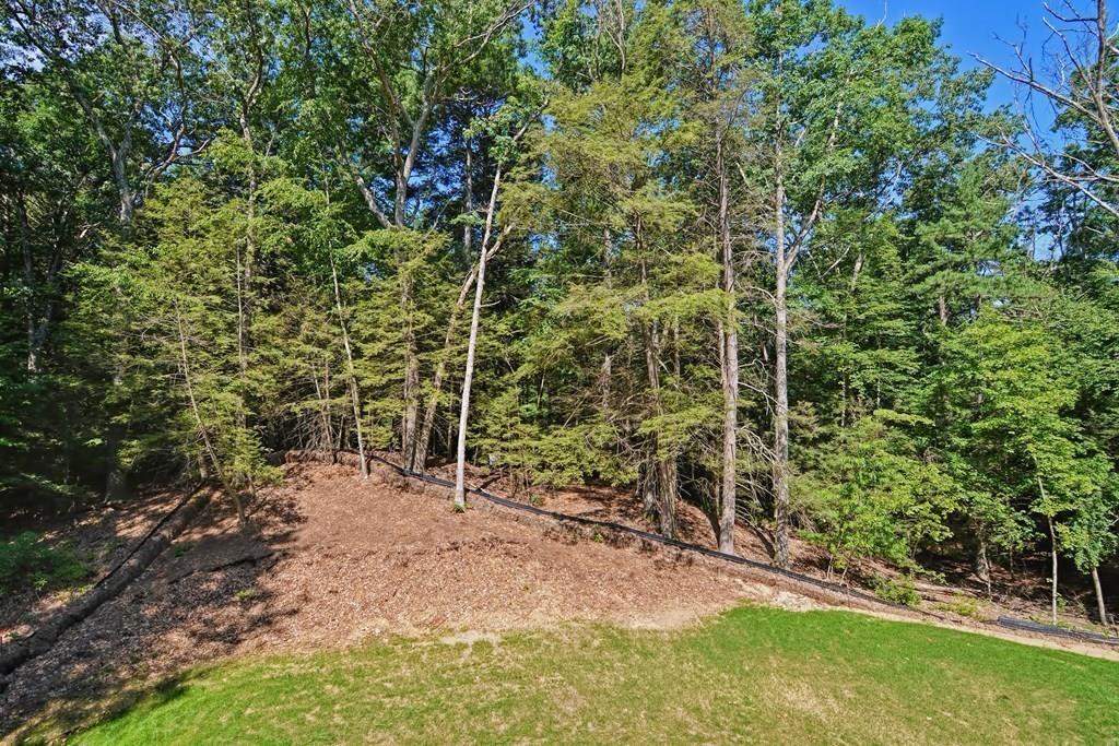 59 New Boston Road Sturbridge, MA 01566 - Photo 6 of 42