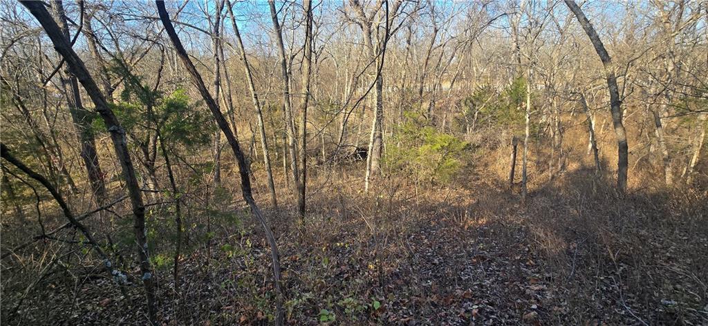 West 207th Street Edgerton, KS 66021 - Photo 11 of 13