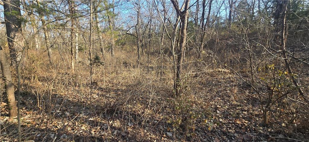 West 207th Street Edgerton, KS 66021 - Photo 13 of 13