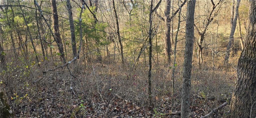 West 207th Street Edgerton, KS 66021 - Photo 2 of 13