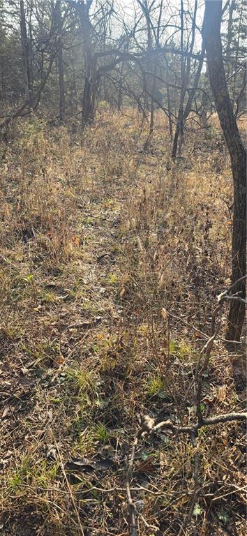 West 207th Street Edgerton, KS 66021 - Photo 3 of 13