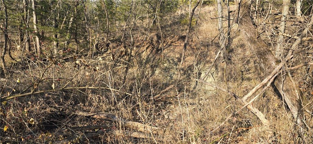 West 207th Street Edgerton, KS 66021 - Photo 4 of 13