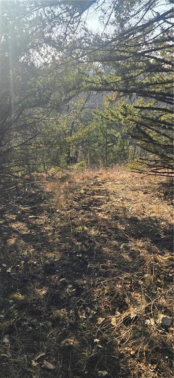 West 207th Street Edgerton, KS 66021 - Photo 5 of 13