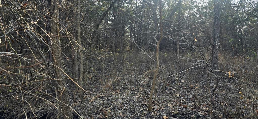 West 207th Street Edgerton, KS 66021 - Photo 6 of 13