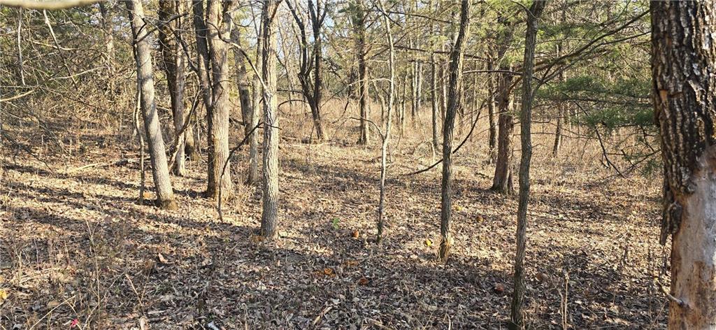 West 207th Street Edgerton, KS 66021 - Photo 8 of 13