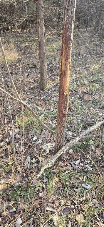 West 207th Street Edgerton, KS 66021 - Photo 9 of 13