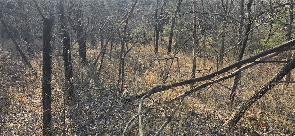 West 207th Street Edgerton, KS 66021 - Photo 10 of 13