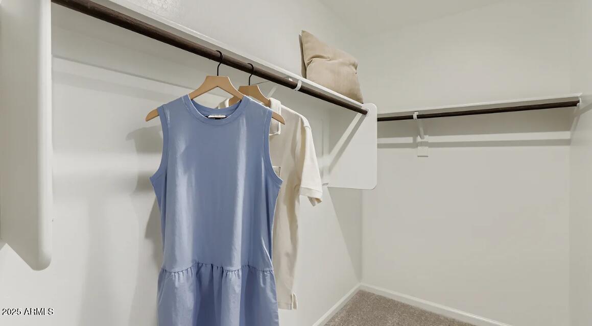 9674 West Piccadilly Road Avondale, AZ 85392 - Photo 10 of 18 Owners Walk in Closet