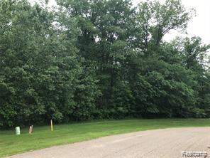 Lot 21 Deer Ridge Trail Howell, MI 48843 - Photo 13 of 17
