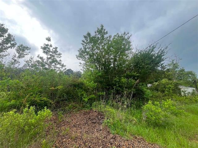 1231 Hooper Road Pineville, LA 71360 - Photo 2 of 5