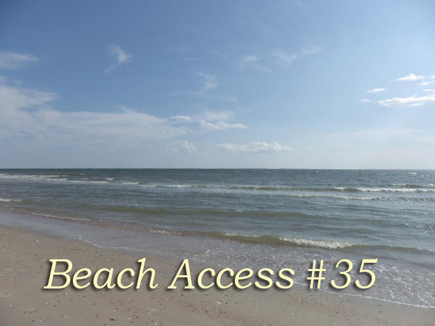 3702 Docksite Road, Unit B6 Edisto Island, SC 29438 - Photo 10 of 18 6a