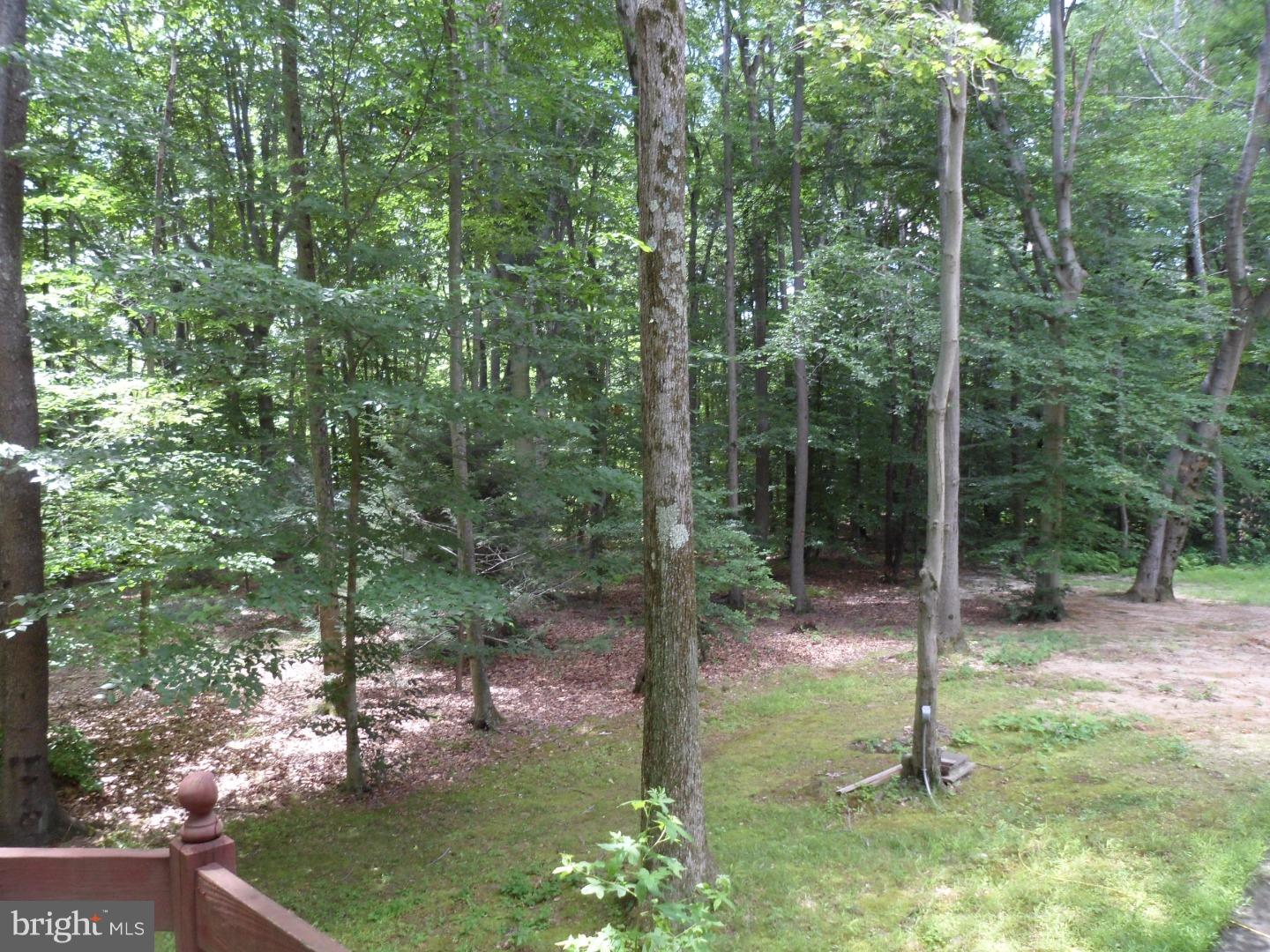 259 North Post Road West Windsor, NJ 08550 - Photo 19 of 20