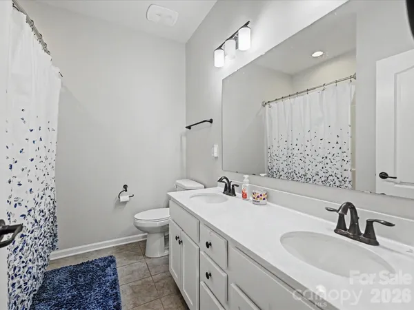 a bathroom with a double vanity sink mirror and toilet