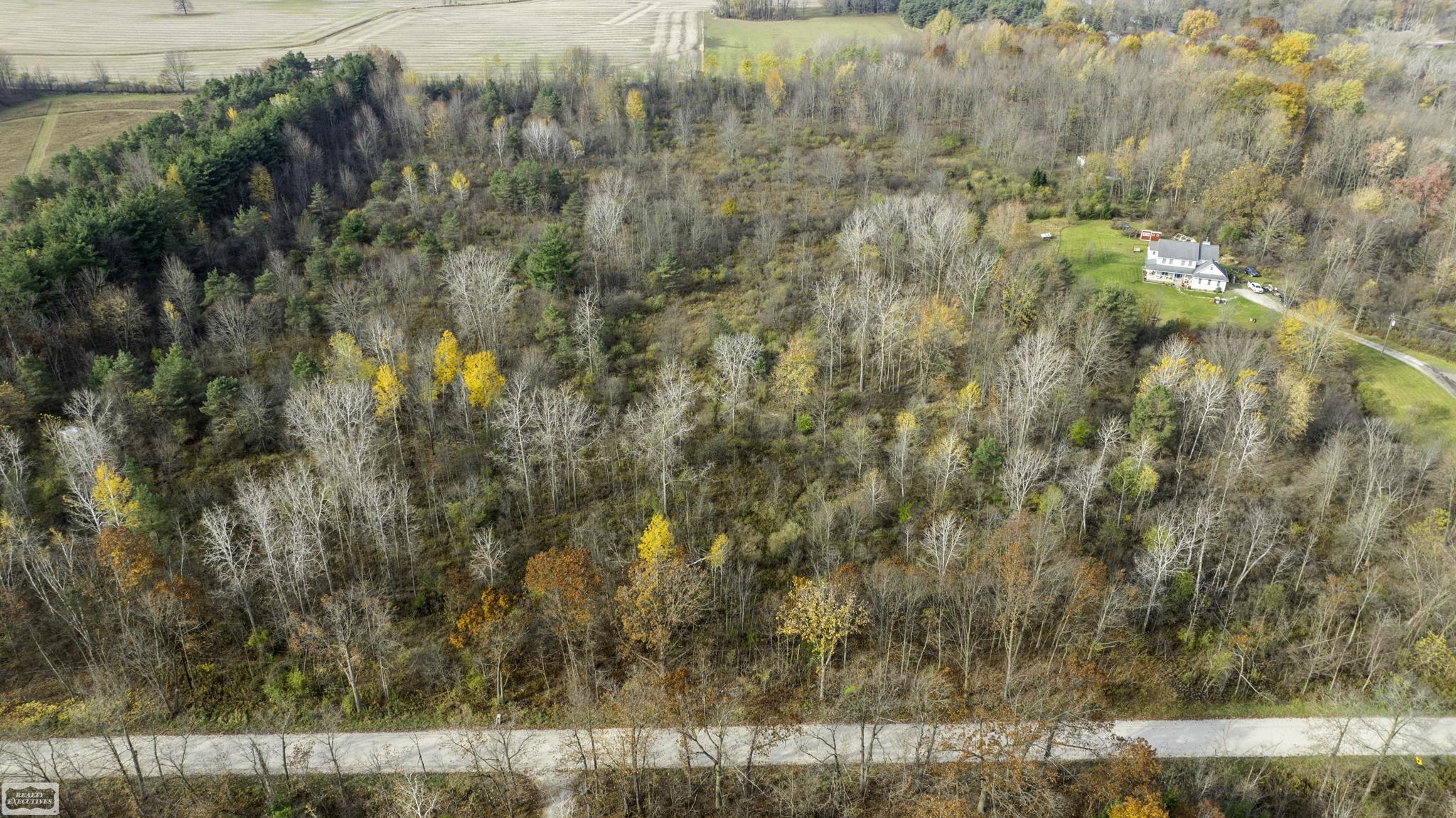 4875 Breen Road Emmett, MI 48022 - Photo 3 of 8