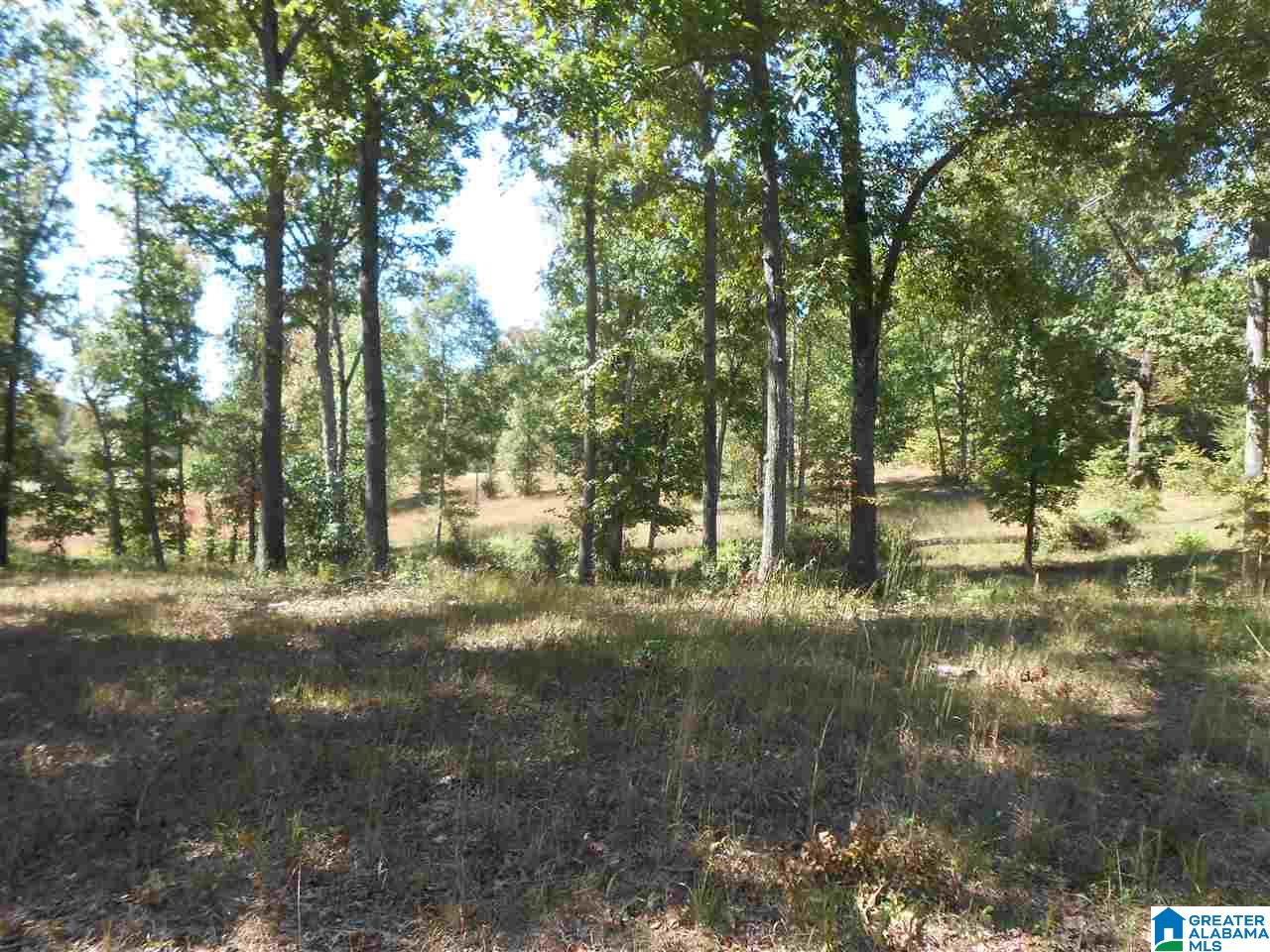 11 Highway Steele Al Steele, AL 35987 - Photo 7 of 8