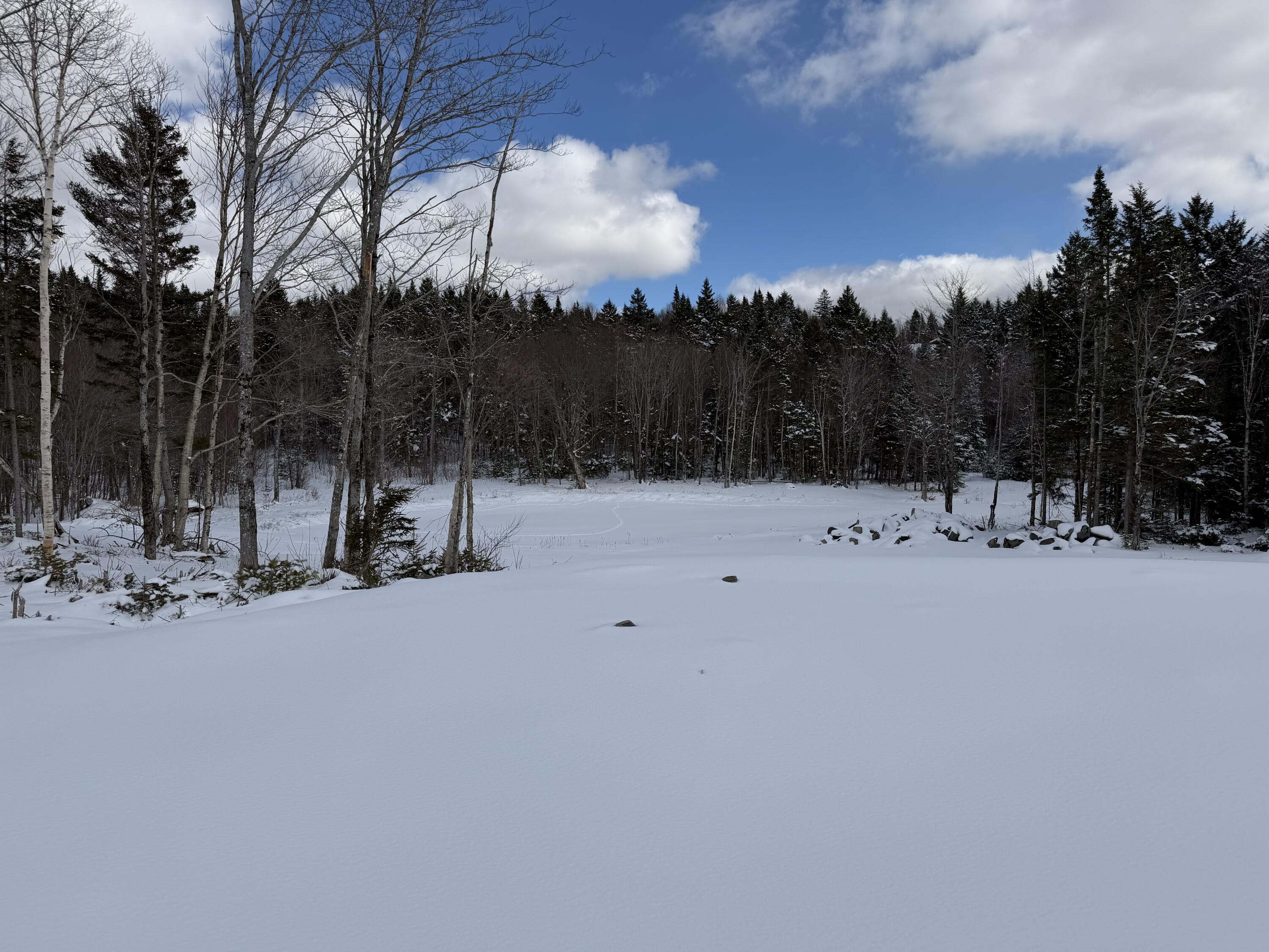 Tbd Moosehead Isle Road Greenville, ME 04441 - Photo 55 of 65 IMG_1361