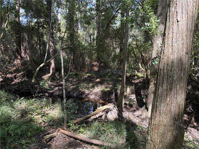 0 Rayford Shumock Road Moss Point, MS 39562 - Photo 9 of 40 Gallery Image 9