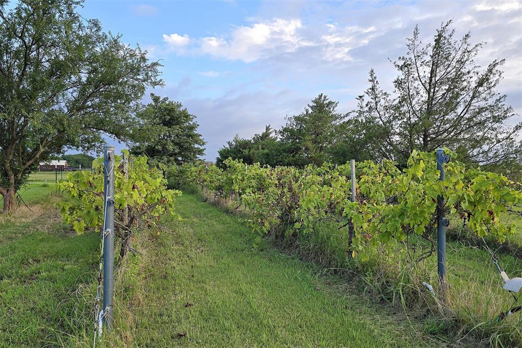 812 Ebenezer Road Palmer, TX 75152 - Photo 20 of 27 a view of a garden