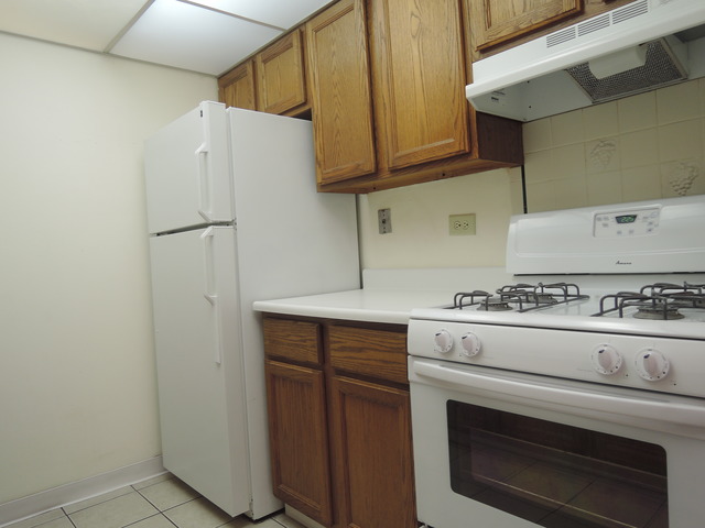 234 East Bailey Road, Unit H Naperville, IL 60565 - Photo 3 of 22