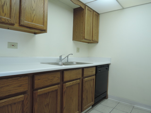 234 East Bailey Road, Unit H Naperville, IL 60565 - Photo 5 of 22