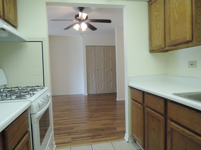 234 East Bailey Road, Unit H Naperville, IL 60565 - Photo 6 of 22