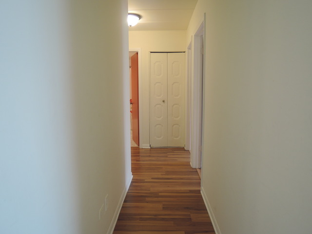 234 East Bailey Road, Unit H Naperville, IL 60565 - Photo 9 of 22